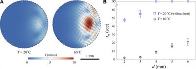 Enhanced Solutal Marangoni Flow Using Ultrasound-Induced Heating for Rapid Digital Microfluidic Mixing